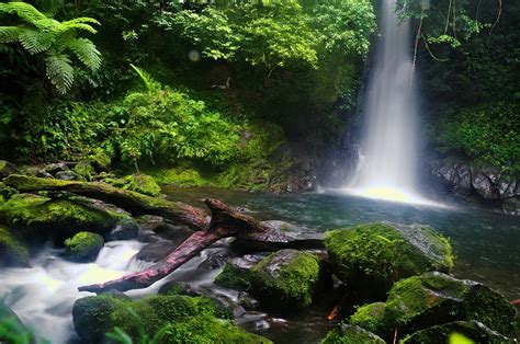 12 Best Things To Do In Naga, PH .